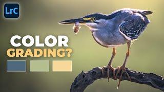 Lightroom Color Grading Skills Most Beginners Miss