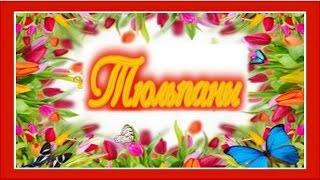 Тюльпаны Весенняя мелодия тюльпанов