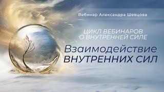 Взаимодействие внутренних сил. Начало разговора о Внутренней силе и Слабостях | Александр Шевцов