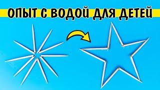 Опыт с водой и зубочистками | Капиллярный эффект