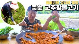 [시골먹방] 어머니와 시골 자연산 고사리 채취｜죽순 고추장불고기 먹방 [Bamboo shoot red pepper paste bulgogi]/MUKBANG/EATING SHOW