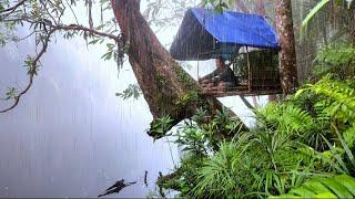 Solo Camping Heavy Rain|| tree house by the river