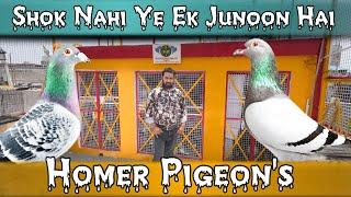 Dimple Bhai Ka Shok Home Kabootar | X Fighter Birds | Dimple Kumar Delhi Pigeon Lover