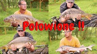 RYBY POŁAPANE | WIELKI POWRÓT DO METHOD FEEDER