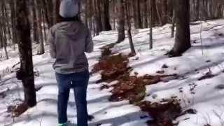 A snowy run on the Ozark Trail with Amanda. Outside of Van Buren.