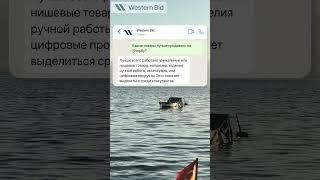 Шопифай как начать