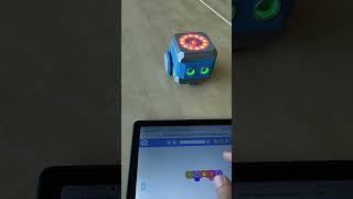 Multiple levels of coding blocks with Otto robot #ottodiy #robotics #steam #code #ai #hprobot