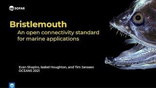 Bristlemouth Demonstration