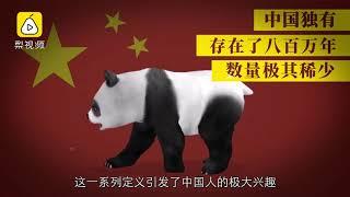 熊猫是怎么成为中国国宝的？