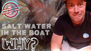 Replacing our PSS shaft seal in the water WHY it might not be a good idea| Ep 345