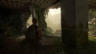 The Last of us part 2 (Ps4 slim) Headshots only