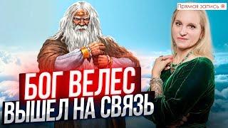 ВЕЛЕСОВ ДЕНЬ. Бог Велес вышел с нами на связь/ Просмотр со слипером