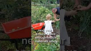 no dig potato mistake resulting in green potatoes