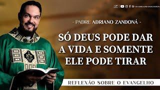 Homilia Diária | Liturgia de Hoje | Palavra do Dia - Padre Adriano Zandoná