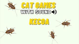 CAT GAMES - KECOA MAINAN KUCING (CATCHING COCKROACH), FULL 30 MENIT