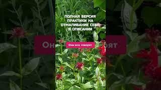 ОТМОЛИТЬ СЕБЯ