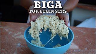 How to Make Biga for Beginners Easy and Fast for Neapolitan Pizza