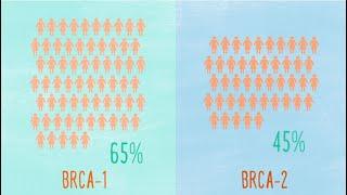 Understanding BRCA Mutations and Risk