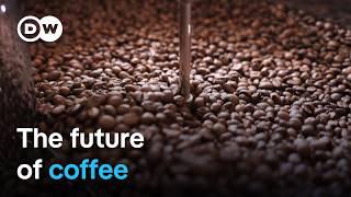 How climate change threatens coffee production | DW Documentary