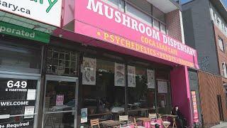 Magic mushroom dispensary wins case against Vancouver