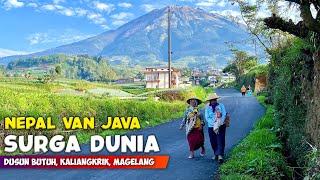 HEAVEN ON EARTH !! NATURAL VIEW OF NEPAL'S VAN JAVA VILLAGE ON MOUNT SUMBING - INDONESIA