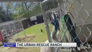 Ben Christie, The Urban Rescue Ranch