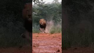 Aslan's #Viral Motivational Facts: Sorting Cars with Inspiration