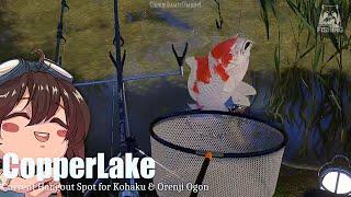 (Russian Fishing 4) Copper Lake Slow Fishing - Kohaku & Orenji Ogon Current Hangout Spot