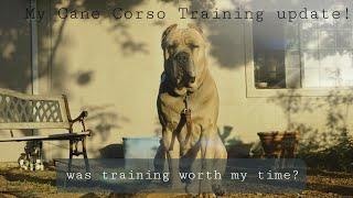 I Trained my Cane Corso Guard dog for 10mins a day everyday for 30 days. This is the Results.