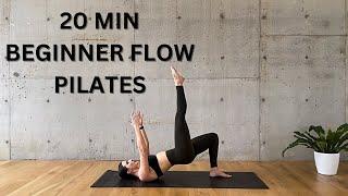 20 MIN BEGINNER FLOW | all fitness levels (no equipment)