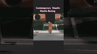 Contemporary Shaolin Mantis Boxing #kungfu #martialarts #shaolin #neuquen