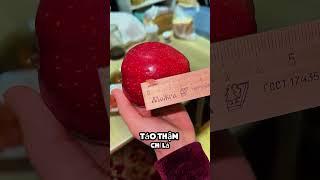 đứa trẻ này đã phải đối mặt với án 3 năm tù giam #shorts