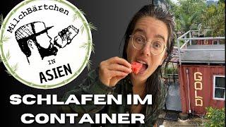  MilchBärtchen in Asien - Teil 7 - Schlafen im Container #welcometothejungle