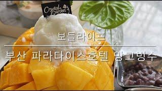 [보들라이프] 부산 파라다이스호텔 망고빙수 (feat. 크리스탈가든)