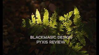 Blackmagic Pyxis Initial Review