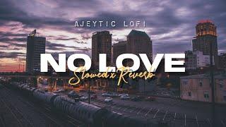 No Love [Slowed+Reverb] ️ | Instagram Trending Song | Punjabi Lofi | Ajeytic