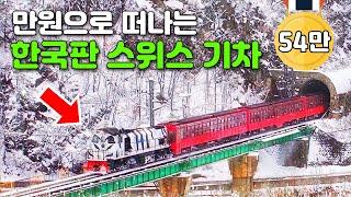 당일치기 기차여행 1순위! 대한민국 청정지역을 관통하는 기차 여행코스 BEST 4 | 대중교통 당일치기 여행