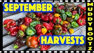 360  SEPTEMBER FRUIT AND VEGETABLE HARVESTS 