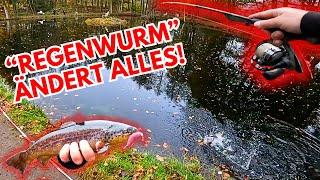 Forellenangeln im Herbst : UL-Angler mit Gummi rasiert uns komplett  Angelpark Lüneburger Heide