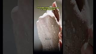 Что будет, если отказаться от этих продуктов
