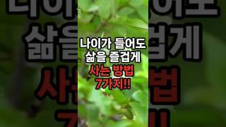 나이가 들어도 삶을 즐겁게 사는 방법 7가지!! #삶의지혜 #행복한노후 #100세시대