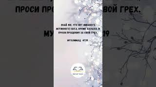 Знание прежде слов и дел!!! | Умар Абу Тальха
