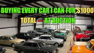 How Many Cars Can I Buy With $1000 At Auction??
