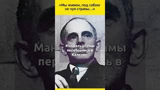 Осип Мандельштам: «Мы живем, под собою не чуя страны…» #судьба #знаменитости #факты #жизнь #ссср