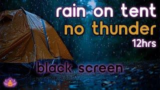 [Black Screen] Rain on Tent No Thunder | Rain Ambience | Rain Sounds for Sleeping