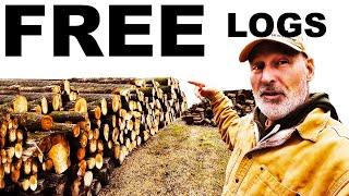 FREE !!!!!! Ash logs...lots of them and more to come! You gotta see this!