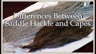 Fly Tying: Differences Between Saddle Hackle and Capes