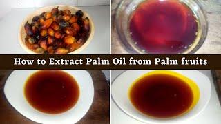 How to Make Palm oil at Home