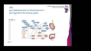 Genetyczne podstawy kształtowania się płci biologicznej