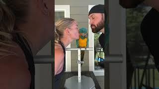 Smooching Our BIRDS  #parrots #birds #funny #smooches